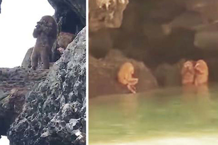 رویت حیوان عجیب انسان نما در دهانه غار! +عکس