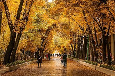 جمع آوری روزانه ۵۰۰ تن برگ پاییزی در اصفهان