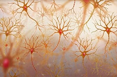 کهکشان سلول عصبی مغز!
