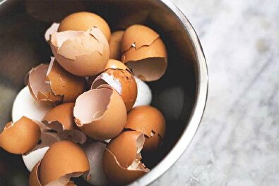 خواص شگفت انگیز پوست تخم مرغ که نمی دانستید!