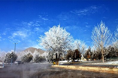 درختان شهرکرد یخ زد!