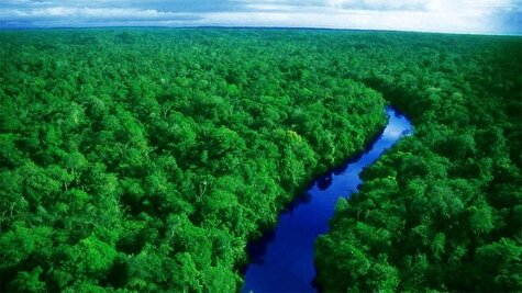 نمایی حیرت انگیز از جنگل‌ آمازون