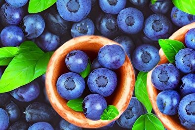 میوه ای لاکچری که قاتل آلزایمر است
