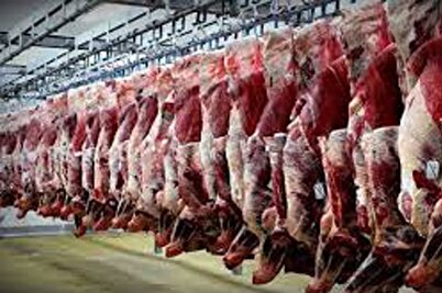 مُهر گرانی مصنوعی بر بازار گوشت قرمز / قیمت‌ها به قبل بازمی‌گردد