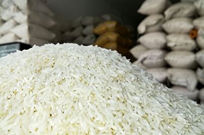 دستور ویژه رئیس‌جمهور برای خرید تضمینی برنج شمال­