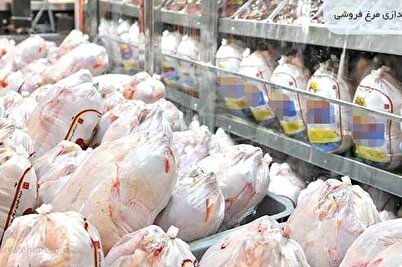 کاهش قیمت‌ مرغ تا ۲ هفته آینده